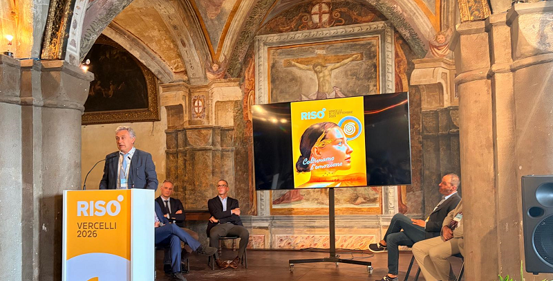 Riso, Drei: “Serve una rete di protezione contro clima e mercati, per garantire stabilità ai redditi”