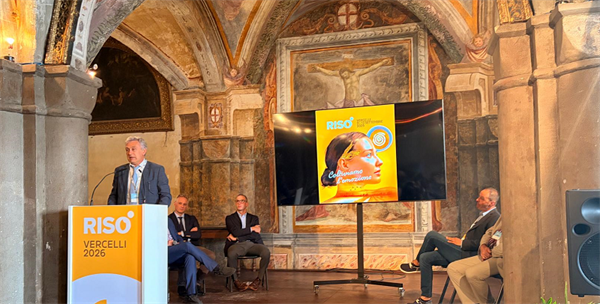 Riso, Drei: “Serve una rete di protezione contro clima e mercati, per garantire stabilità ai... 