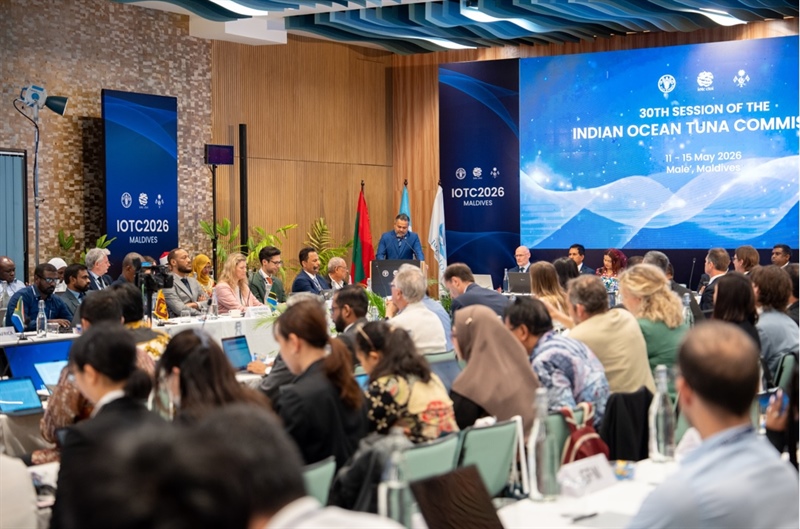 L'UE garantisce una gestione sostenibile del tonno e norme più eque in occasione della riunione dell'IOTC del 2026