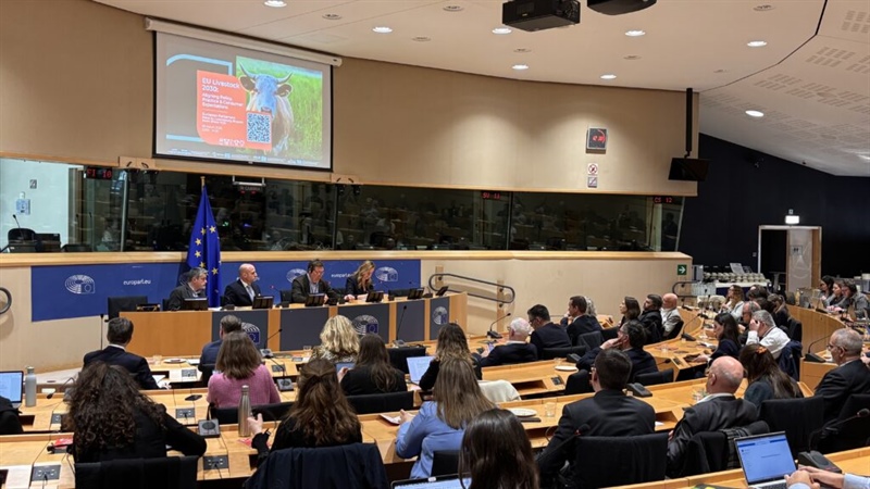 La Commissione europea pubblica la tanto attesa Livestock strategy