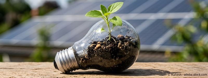 Piano d'Azione per le Comunità Energetiche: l'analisi di REScoop.eu tra opportunità e sfide per l'attuazione